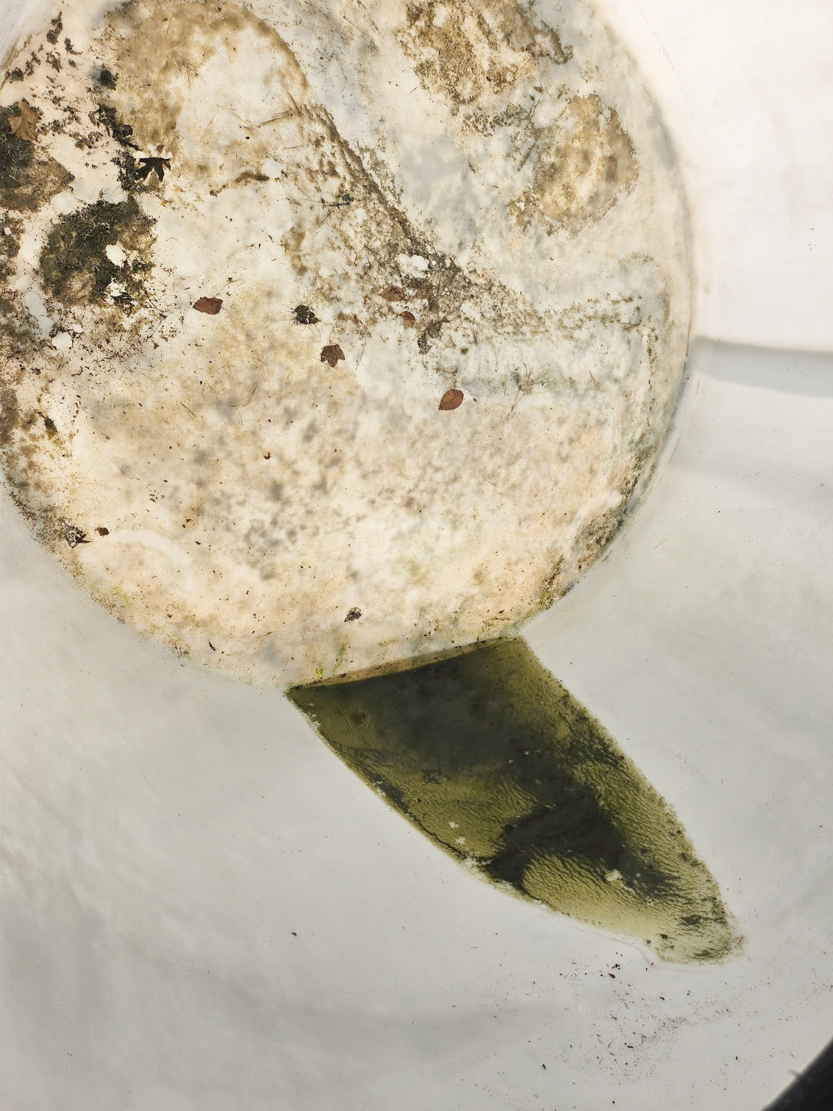 2,000+/- Gallon Vertical Poly Tank