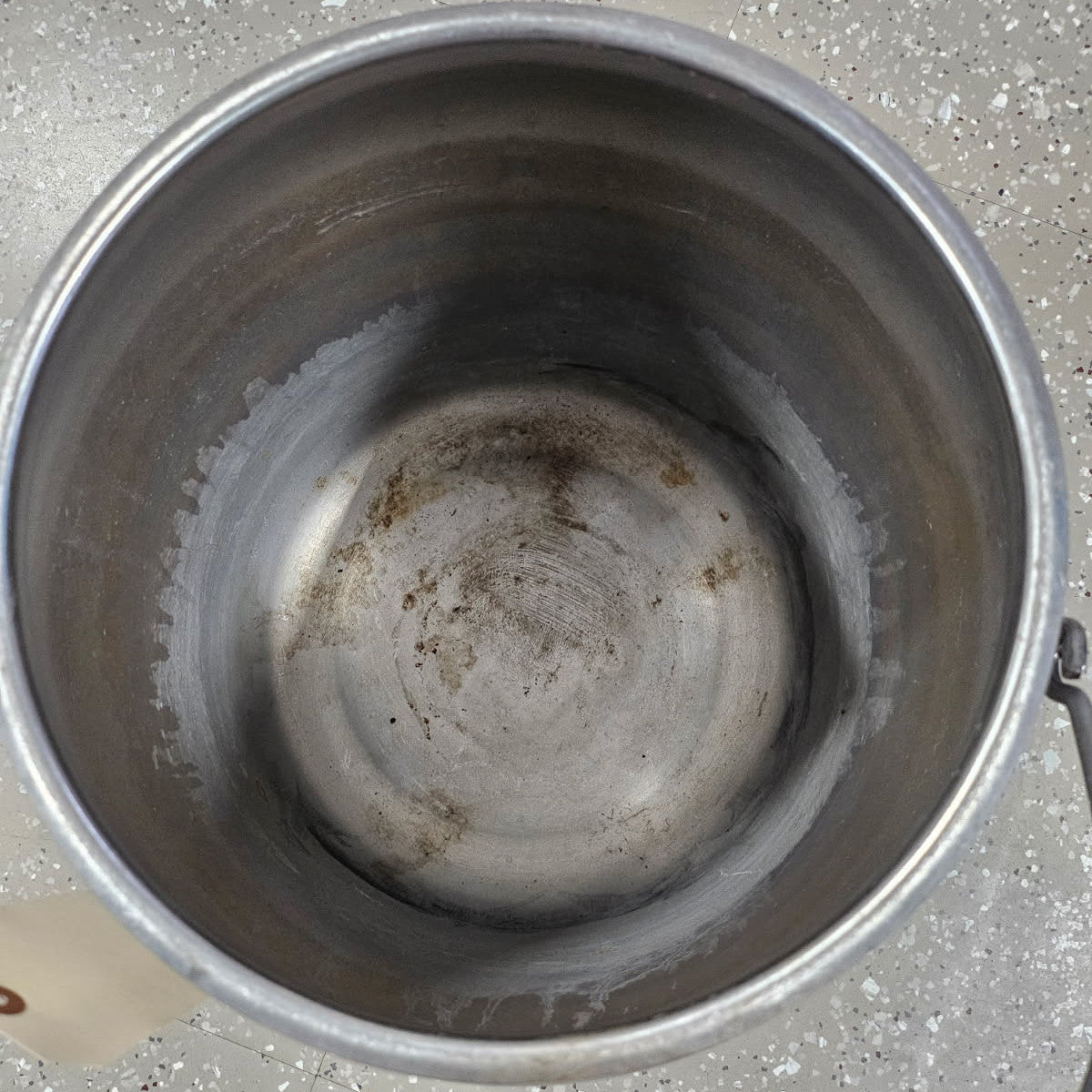Stainless Milk Pail w/Handle
