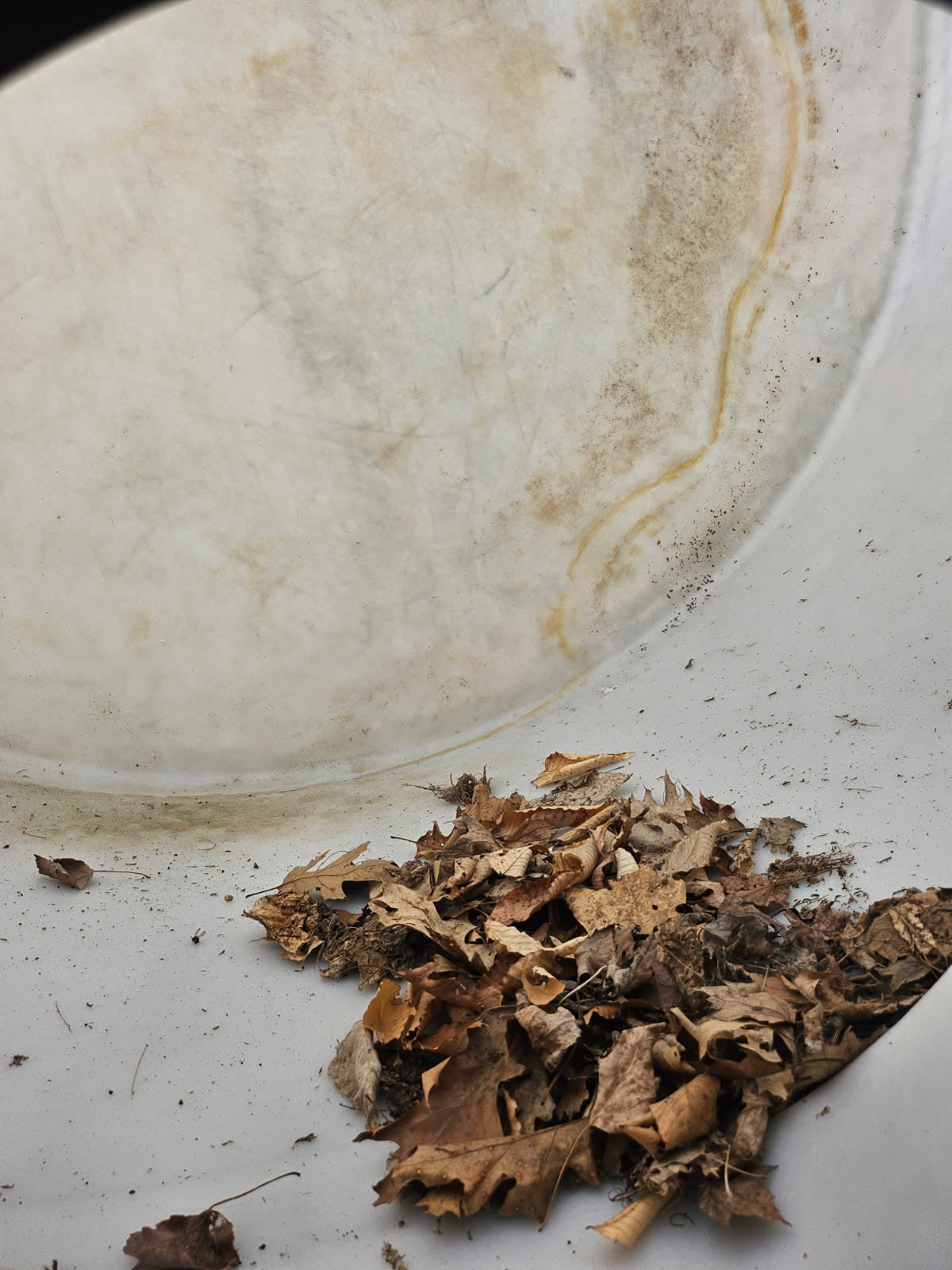 Used 1,100 Gallon Vertical Poly Tank