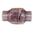 1" Clear Plastic Check Valve