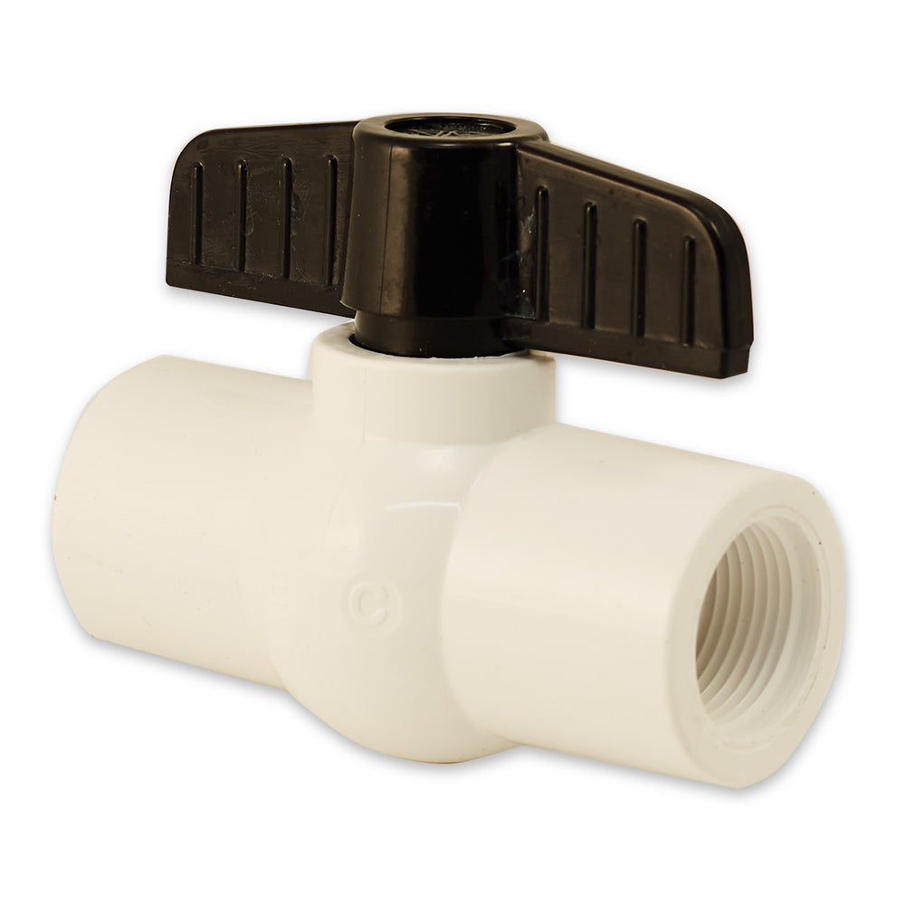 1/2" Threaded PVC Valve